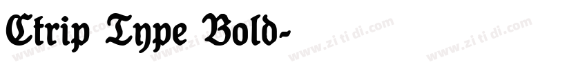 Ctrip Type Bold字体转换